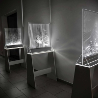 FENY   TORESEK Net 120